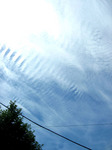 06061301.jpg