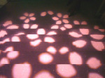 07040202.jpg
