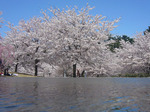07041804.jpg